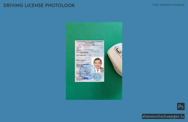 Russischer Führerschein – Beispielvorschau für die Fotoprüfung